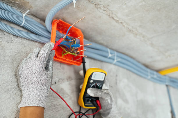 Best Electric Panel Repair  in Port Allen, LA